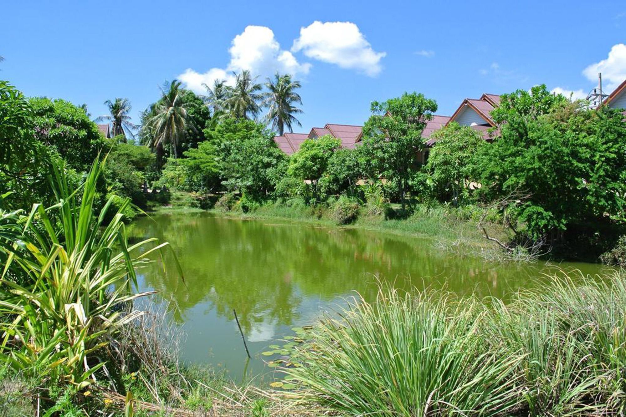 Baan Chay Lay Koh Phangan Eksteriør bilde